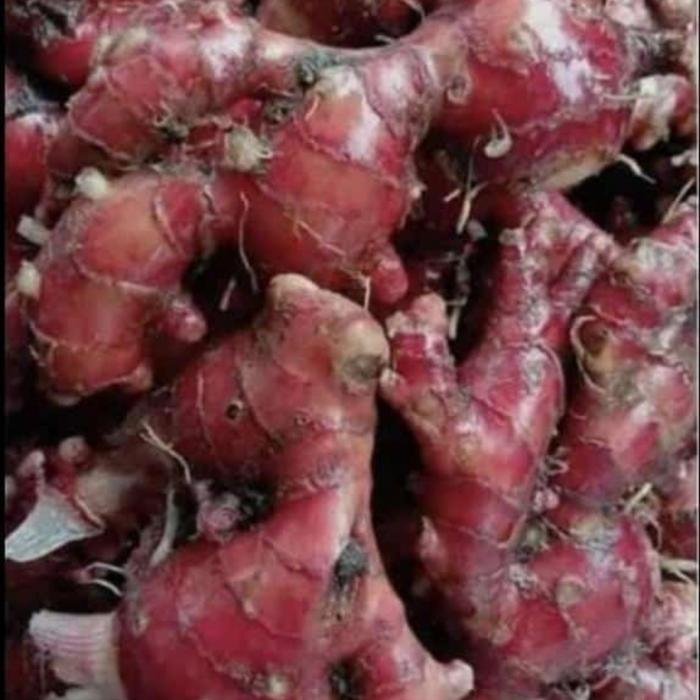 Jahe Merah
