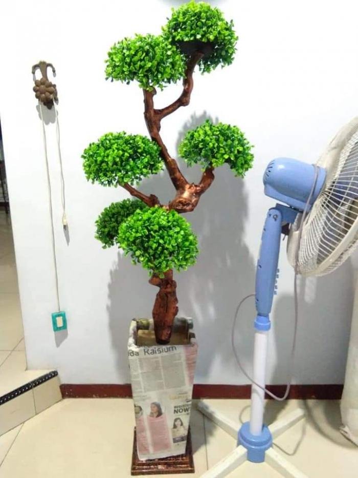 Bunga Bonsai Rumput Bulat 6