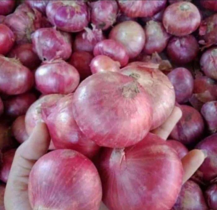 Bawang Merah India 1KG