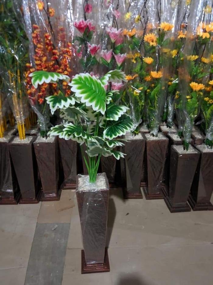 Bunga Hias Keladi