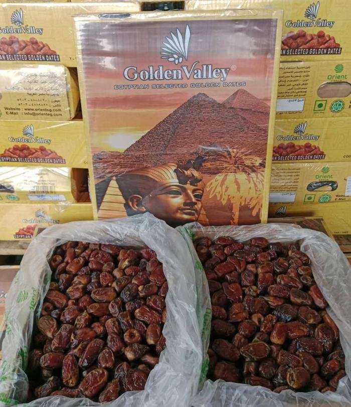 Kurma Golden Valley DUS