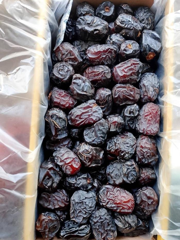 Kurma Ajwa Habibie