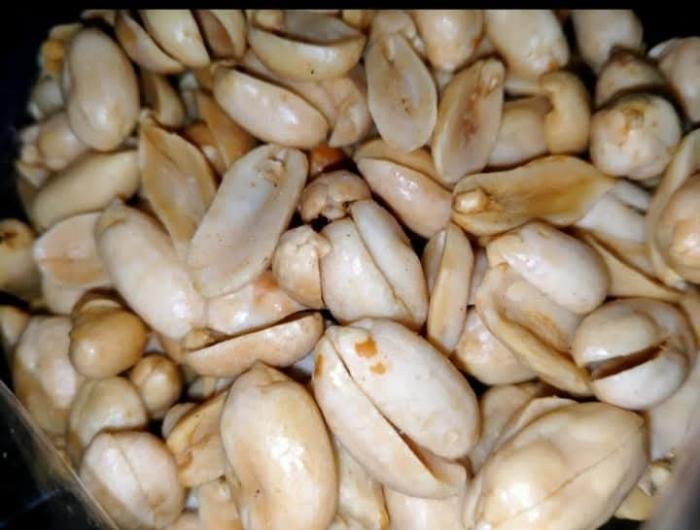 Kacang Bali TR BALL