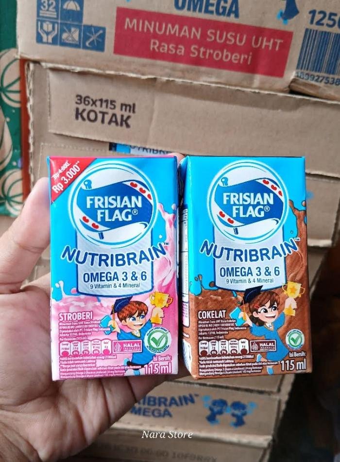 Frisian Flag Nutribrain Dus