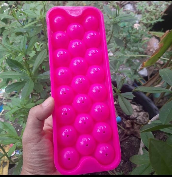 Cetakan Jelly Telor (isi 6pc)
