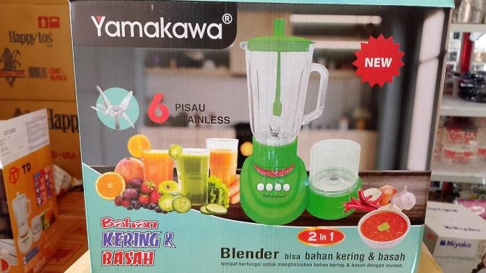 Blender T2GN Mika