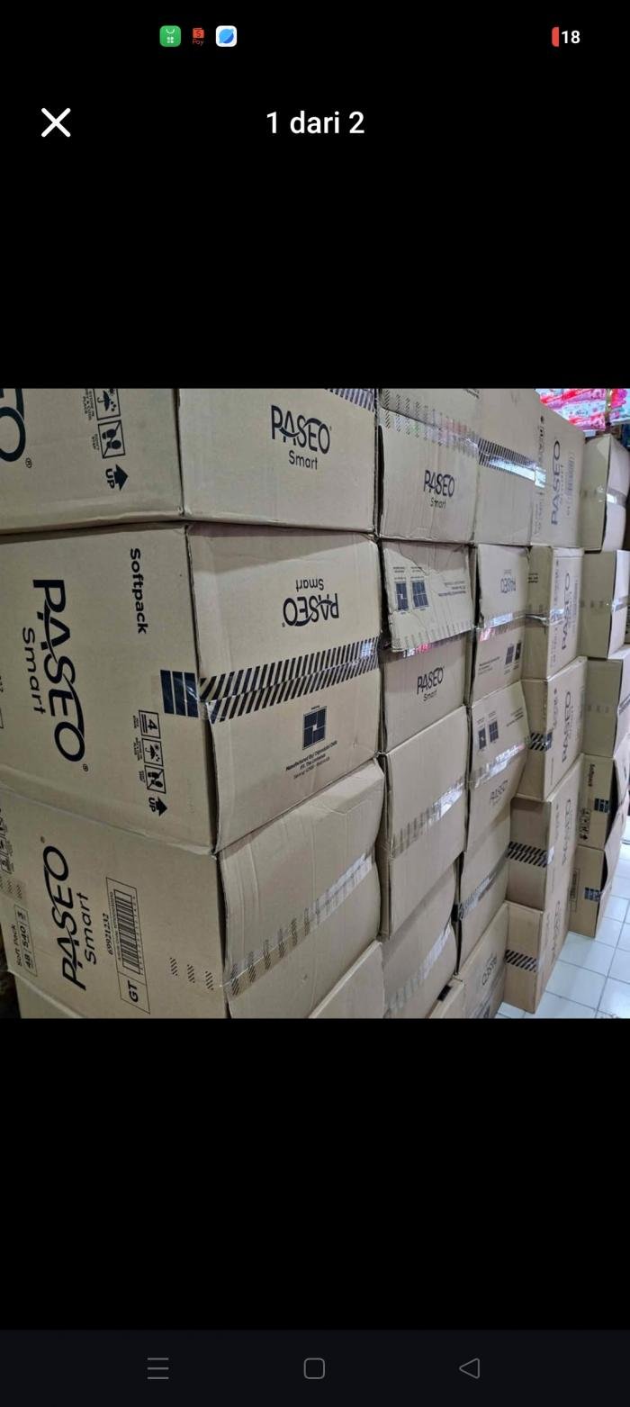 Tisu Paseo 540 DUS