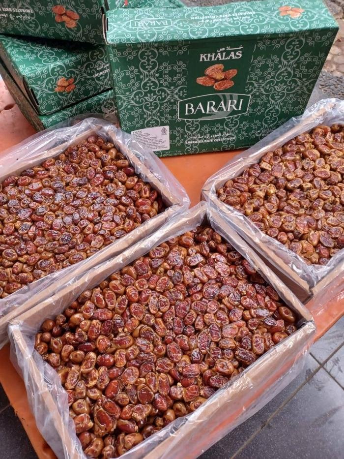 Kurma Barari DUS HIJAU